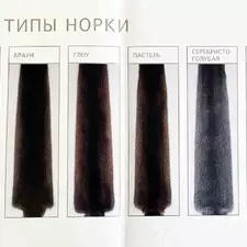 Размеры и площадь невыделанных шкурок норки (Скандинавская сушка). Блог FUR EXPERT
